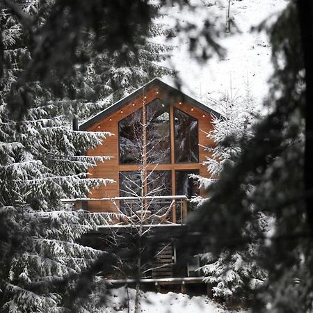Шале Dereva Iablunîțea Exterior foto