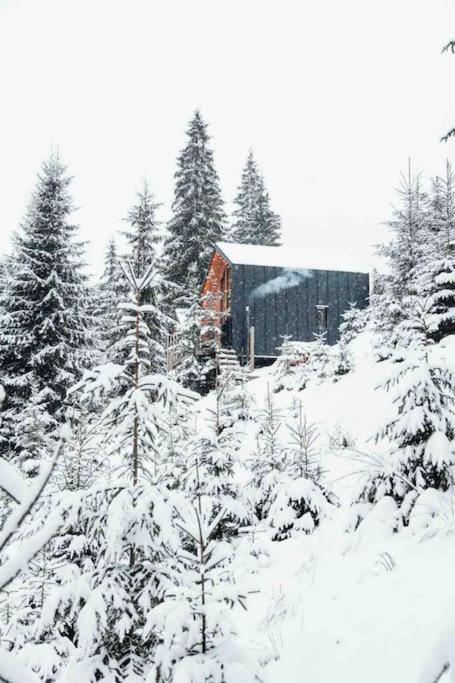 Шале Dereva Iablunîțea Exterior foto