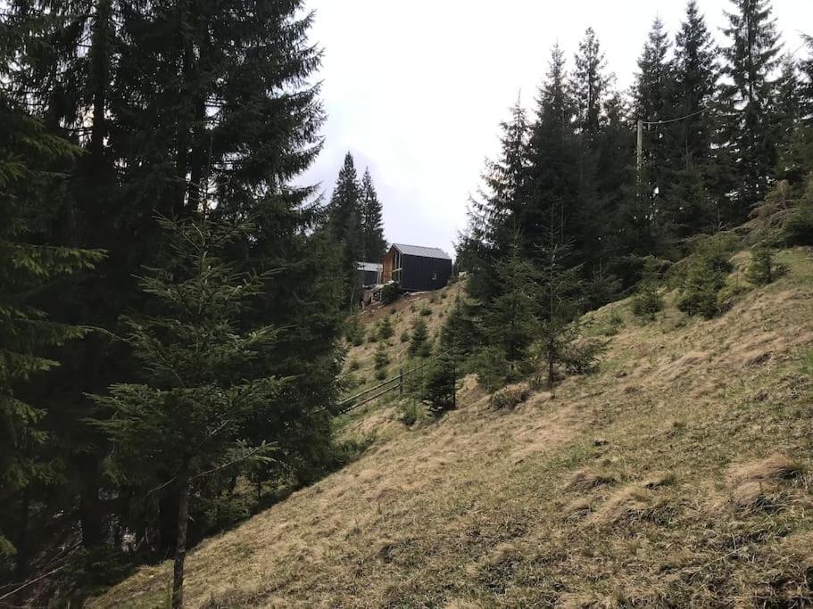 Шале Dereva Iablunîțea Exterior foto