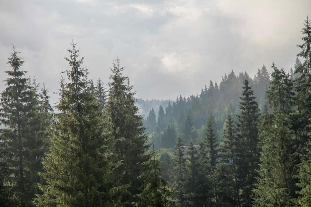 Шале Dereva Iablunîțea Exterior foto