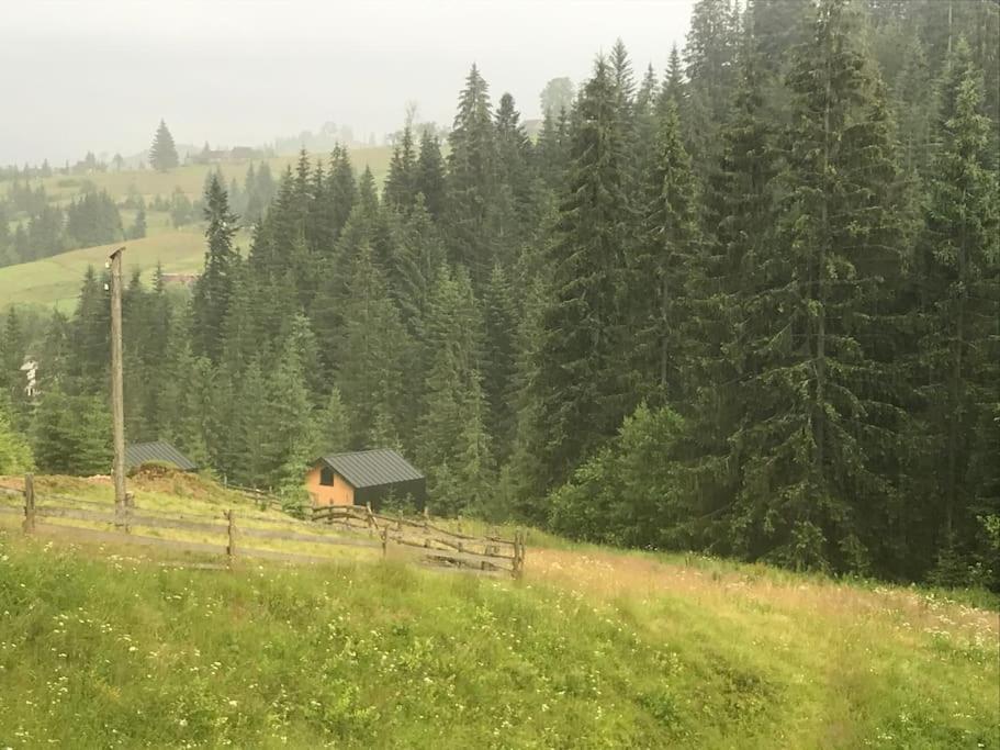 Шале Dereva Iablunîțea Exterior foto