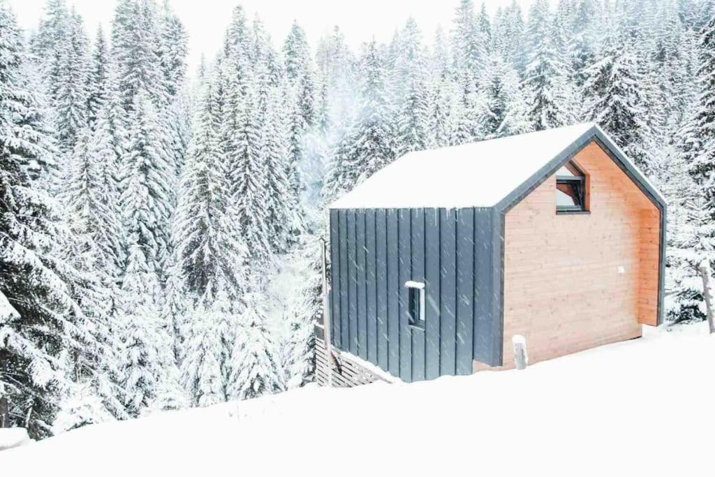 Шале Dereva Iablunîțea Exterior foto